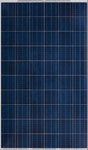yingli